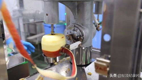 日本的孩子不吃盒飯 來(lái)看看日本的食品加工廠如何制作中小學(xué)生午餐